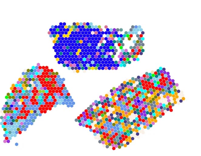 Open access visualization of Scatter Plot, Spatial Arrangement, Hubs
