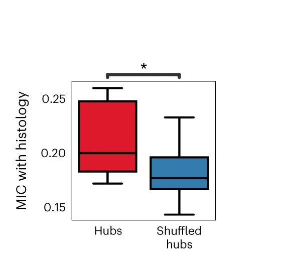 Open access visualization of Box Plot, MIC, Hubs, Histology, Box Plots