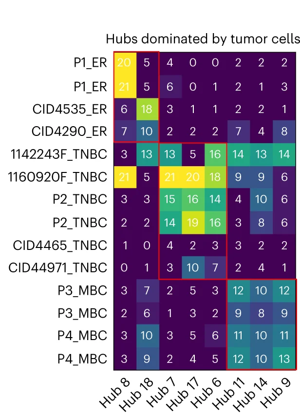 Open access visualization of Heatmap, Spots, Intratumoral Hubs, Patients