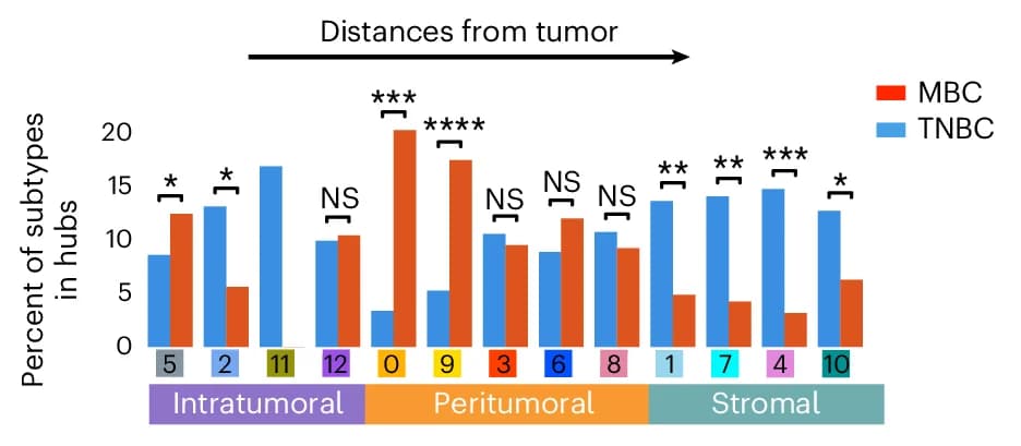 Open access visualization of Bar Plot, Clustered, Spatial Hubs, Tumor Hubs, MBC Subtype