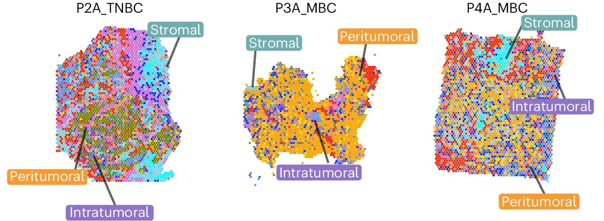 Open access visualization of Scatter Plot, UMAP, Heatmap, Spatial Arrangement, Hubs