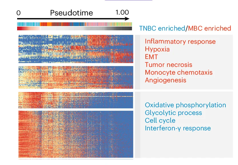 Open access visualization of Heatmap, Spots, Pseudotime, SCORPIUS, Diffusion Components