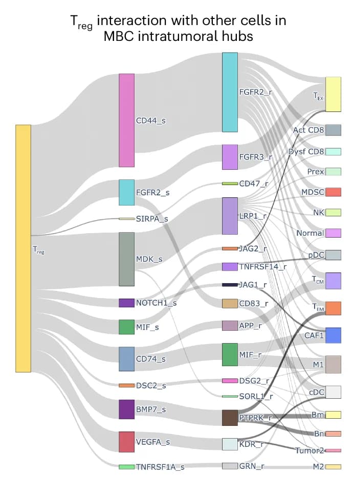 Open access visualization of Sankey, Receptor-Ligand Interactions, T Reg Cells, MBC, Intratumoral Regions