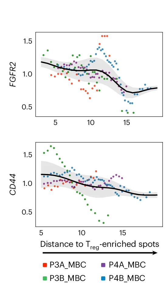 Open access visualization of Scatter Plot, Line Plot, Regression Plot, FGFR2 Expression, CD44 Expression