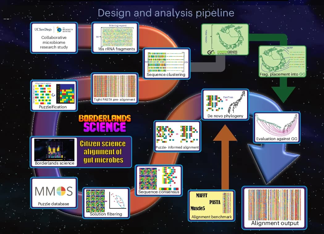 Open access visualization of Workflow, Flowchart, BLS Pipeline, Data Collection, Alignment Output