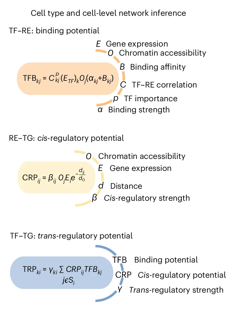 Open access visualization of Workflow, Flowchart, Illustration, Cell Type, Cell Level