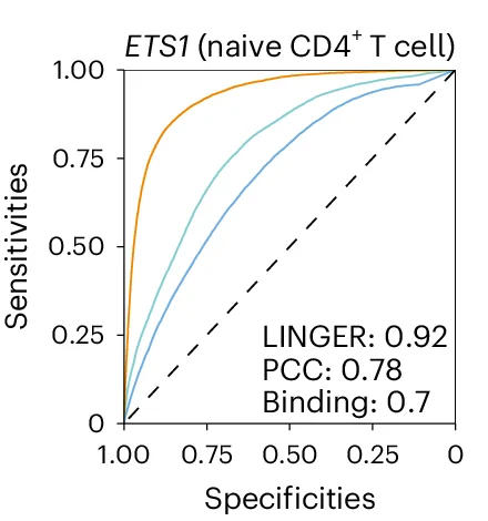 Open access visualization of Line Plot, Receiver Operating Characteristic Curve, Precision-Recall Curve, Binding Potential, ETS1