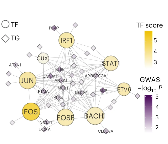 Open access visualization of Network, Pathway, IBD, Transcription Factors, Classical Monocytes