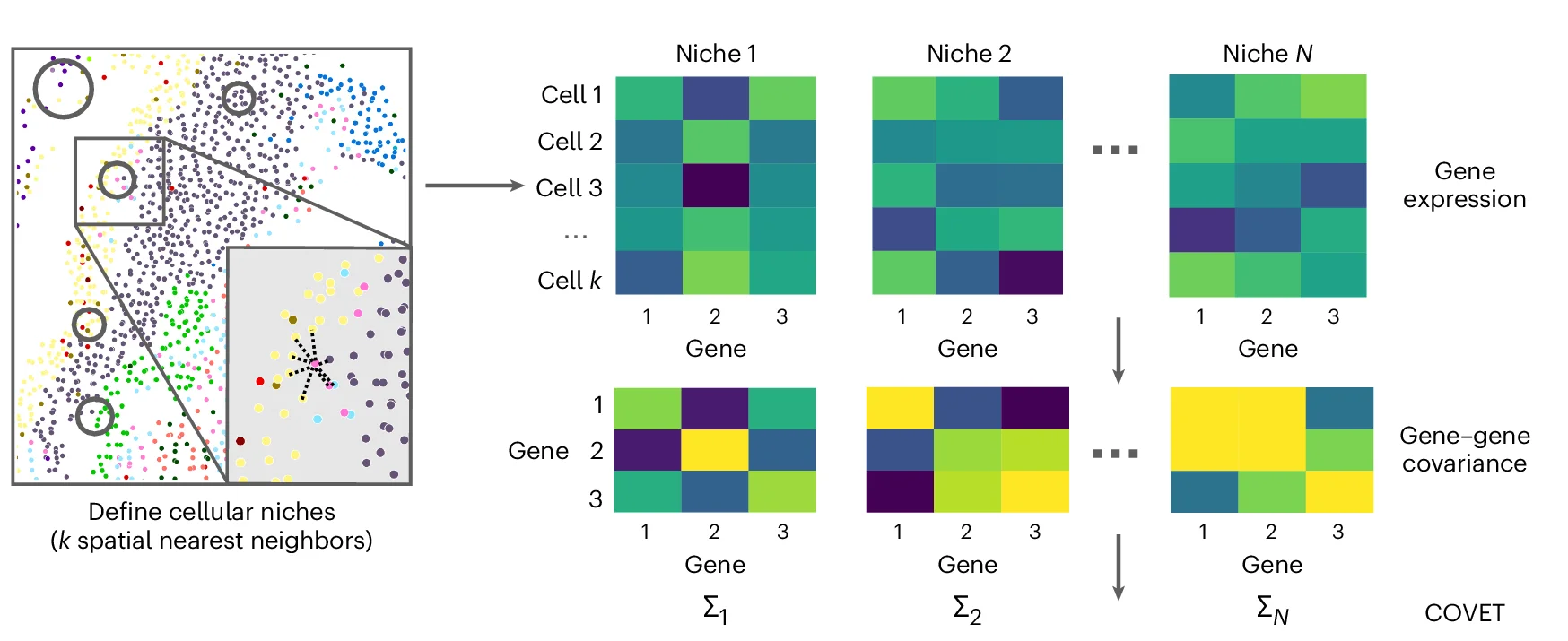Open access visualization of Workflow, Scatter Plot, Heatmap, Spatial Covariance, ENVI Operation