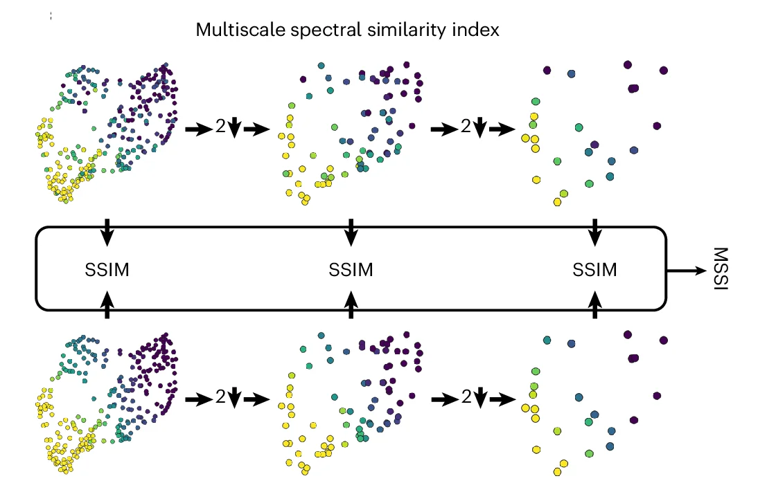 Open access visualization of Workflow, Scatter Plot, MSSI Computation, Spatial Expression Profiles, Spectral Pooling