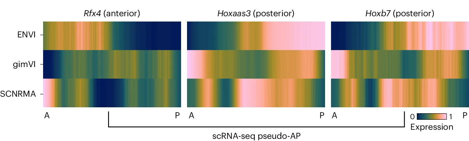 Open access visualization of Heatmap, scRNA-seq, AP Axis Markers, NMPs, Spine Cells