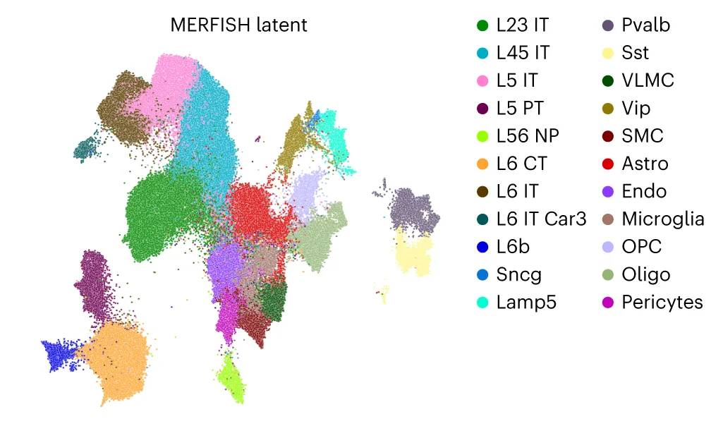 Open access visualization of Scatter Plot, UMAP, PCA, ENVI Latent Embedding, Motor Cortex