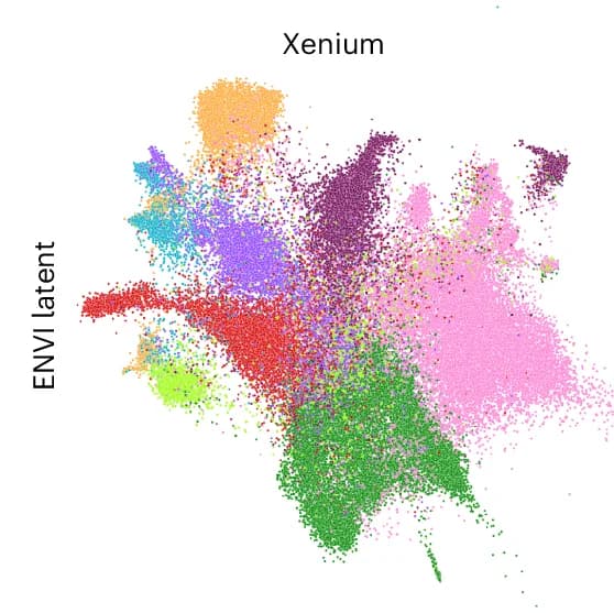 Open access visualization of Scatter Plot, UMAP, PCA, UMAP Embeddings, ENVI Latent Space