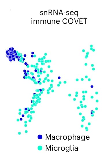 Open access visualization of Scatter Plot, UMAP, UMAP Embedding, ENVI Prediction, COVET Representation