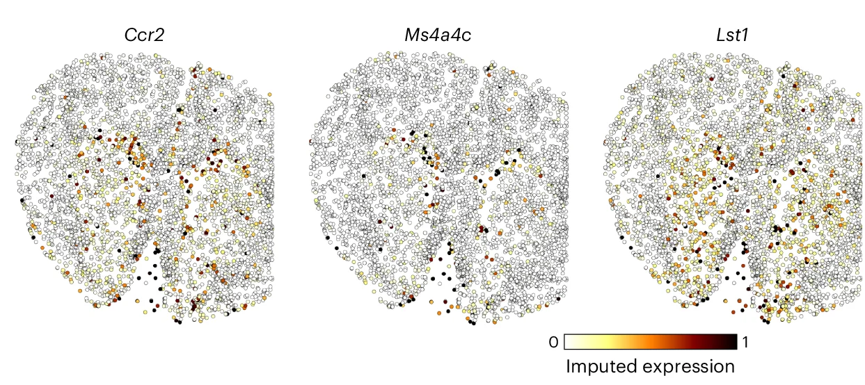 Open access visualization of Scatter Plot, UMAP, ENVI Imputation, Macrophage Infiltration, Marker Genes