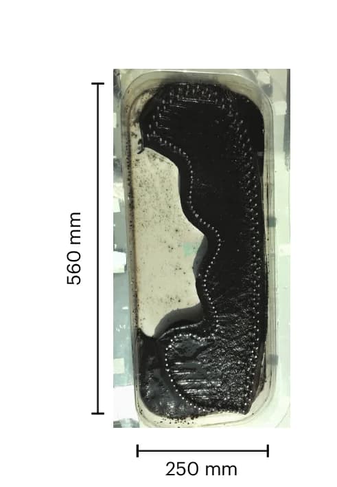 Open access visualization of Photo, K. rhaeticus ptyr1, Pellicle, Shaped Container, Eumelanin Development
