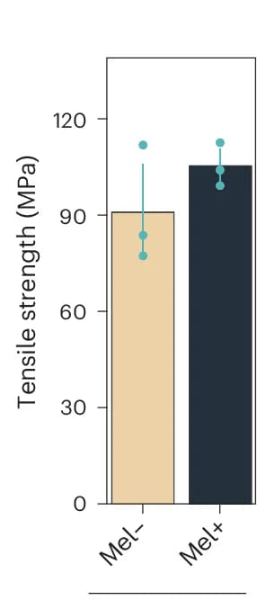 Open access visualization of Bar Plot, Error Bars, Tensile Strength, Young's Modulus, Strain at Break