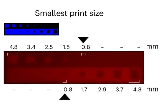 Open access visualization of Photo, Projected Mark, Pellicle