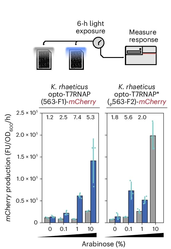 Open access visualization of Bar Plot, Error Bars, Clustered, Optogenetics Constructs, mCherry