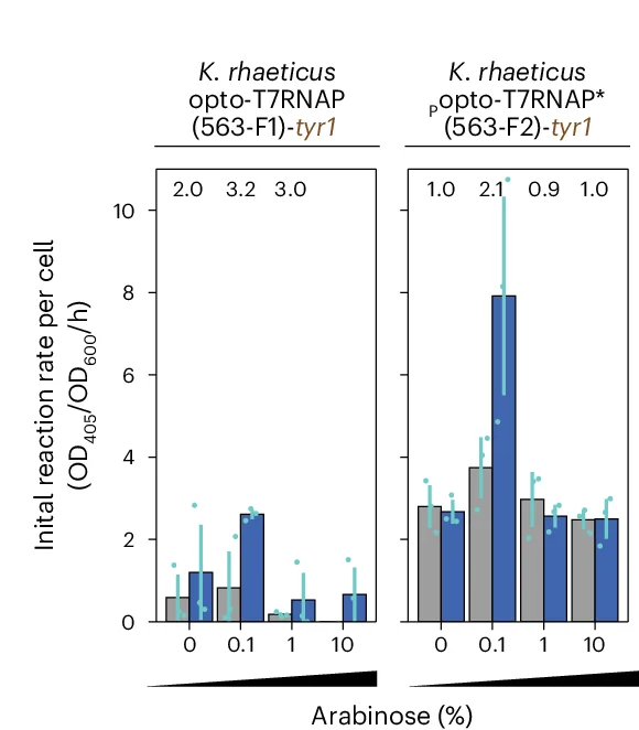 Open access visualization of Bar Plot, Error Bars, Optogenetic Construct, tyr1, Arabinose