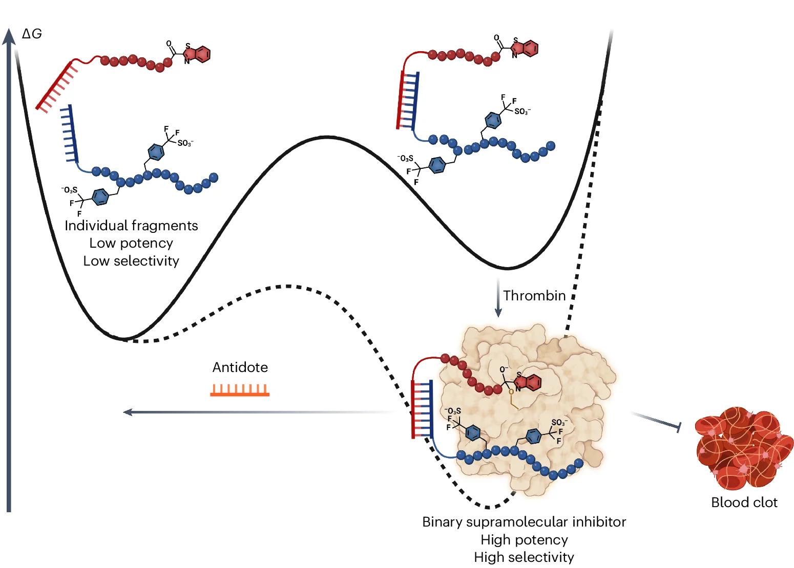 Open access visualization of Line Plot, Workflow, Illustration, Supramolecular Drug, Thrombin