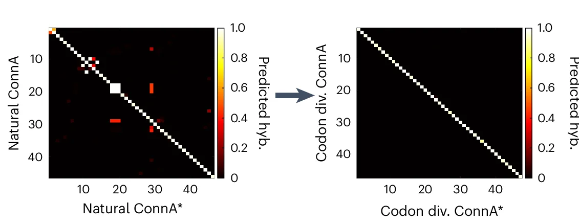 Open access visualization of Heatmap, Orthogonality, FR3, Connector Sequences, TRAV