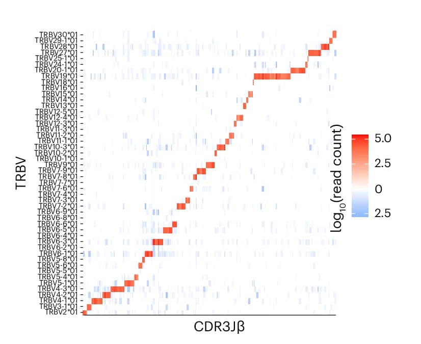 Open access visualization of Heatmap, TRBV, Ligation, CDR3J, Accuracy