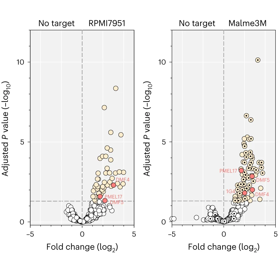 Open access visualization of Volcano Plot, TCR Library, CD8+ T Cells, Melanoma Lines, Fold Change