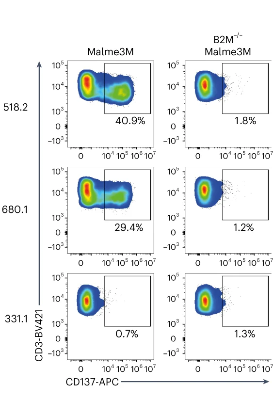 Open access visualization of Scatter Plot, Flow Cytometry, TCR, Malme3M Cells, CD3+ Cells
