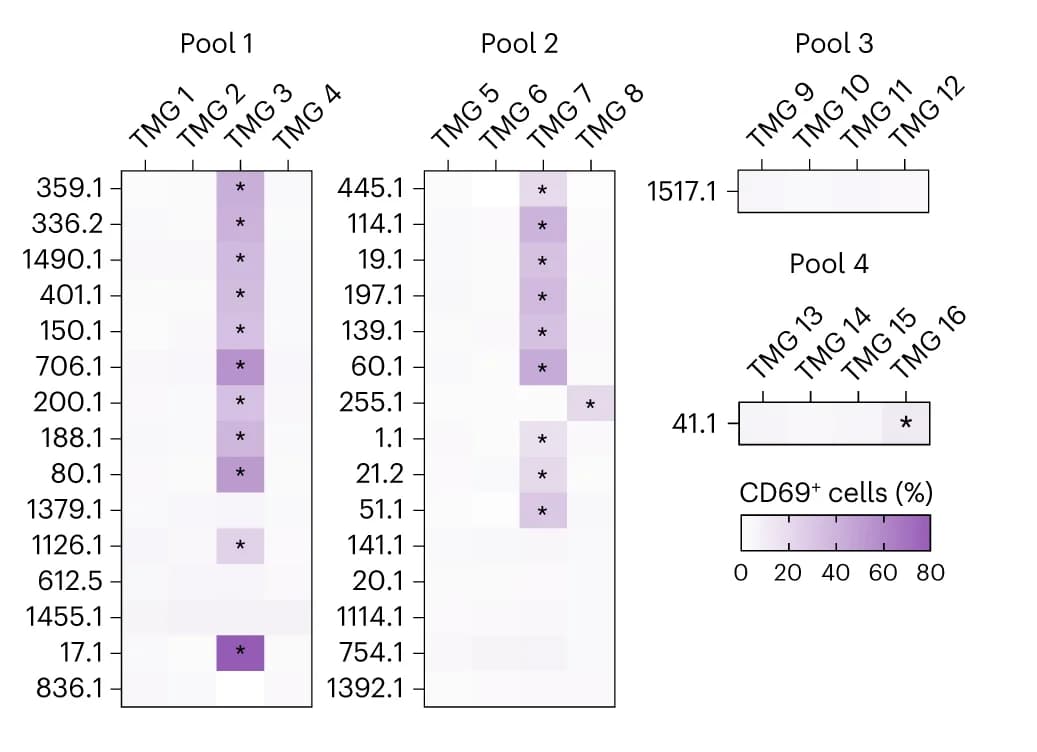 Open access visualization of Heatmap, TMG-Reactive TCRs, CD8+ Jurkat Cells, NKIRTIL063 B Cells, CD69 Expression