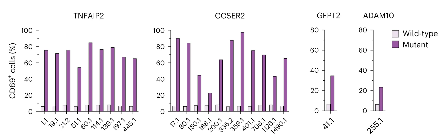 Open access visualization of Clustered, Bar Plot, Neoantigen Specificity, TMG-Reactive TCRs, Jurkat Cells