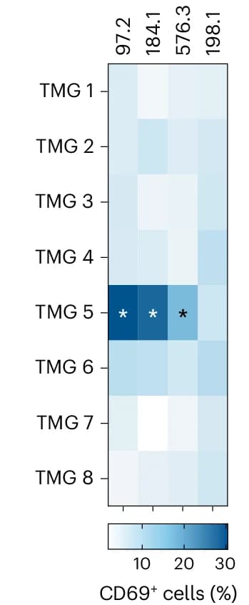Open access visualization of Heatmap, Hit TCRs, CD4+ Jurkat Cells, TMG-expressing patient B cells, CD69+ Cells