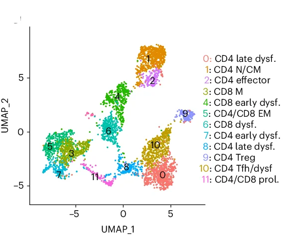 Open access visualization of Scatter Plot, UMAP, UMAP Plot, Single-cell Expression Data, TILs