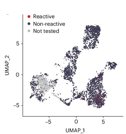 Open access visualization of Scatter Plot, UMAP, Neoantigen-specific Clonotypes, Transcriptomic Map