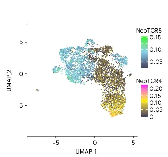 Open access visualization of UMAP, Scatter Plot, NeoTCR4 Score, NeoTCR8 Score, TILs
