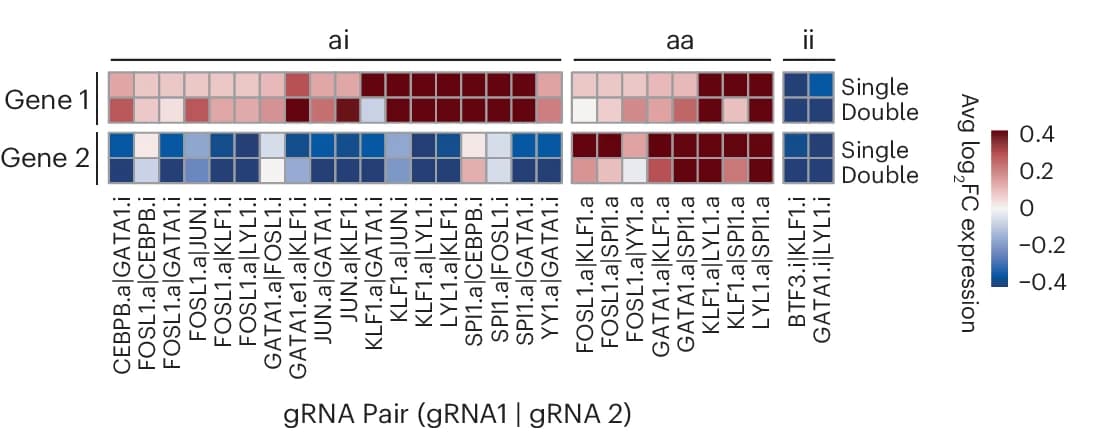 Open access visualization of Heatmap, Gene Expression, CRISPRai Target Genes, Single Perturbation, Double Perturbation