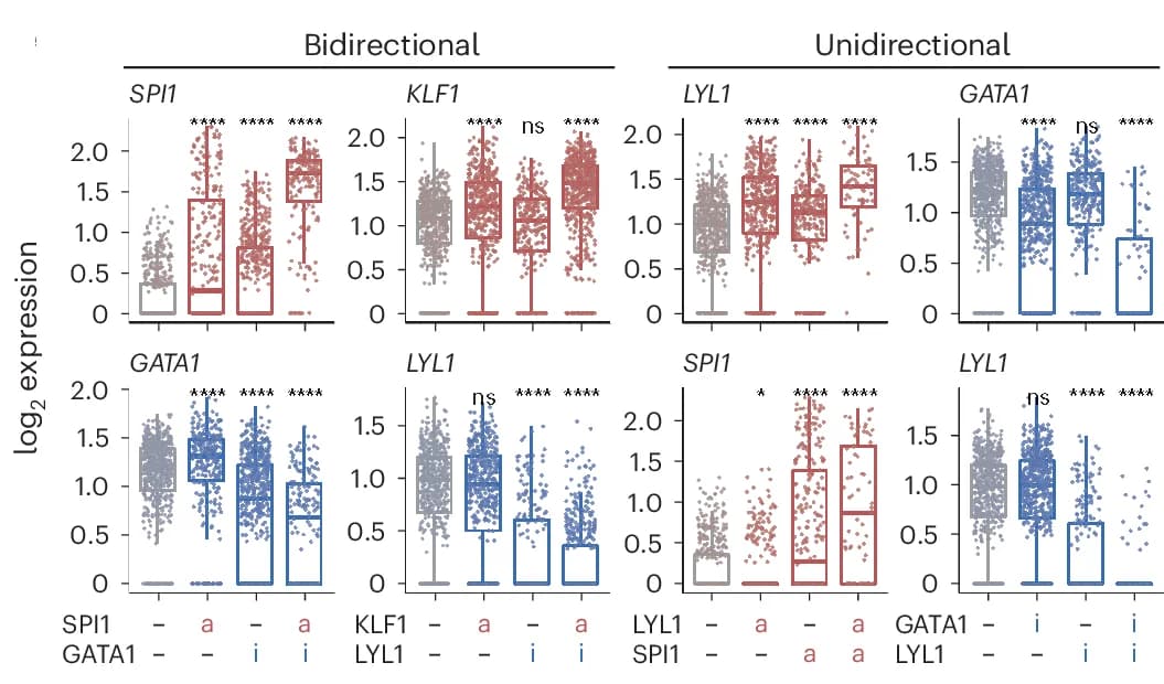 Open access visualization of Box Plot, Scatter Plot, Gene Expression, Single Perturbation, Double Perturbation