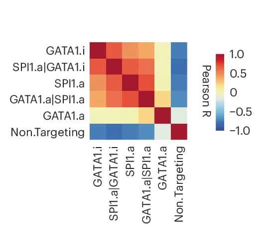 Open access visualization of Heatmap, Pearson Correlation, Single-Cell Transcriptomes, Genes