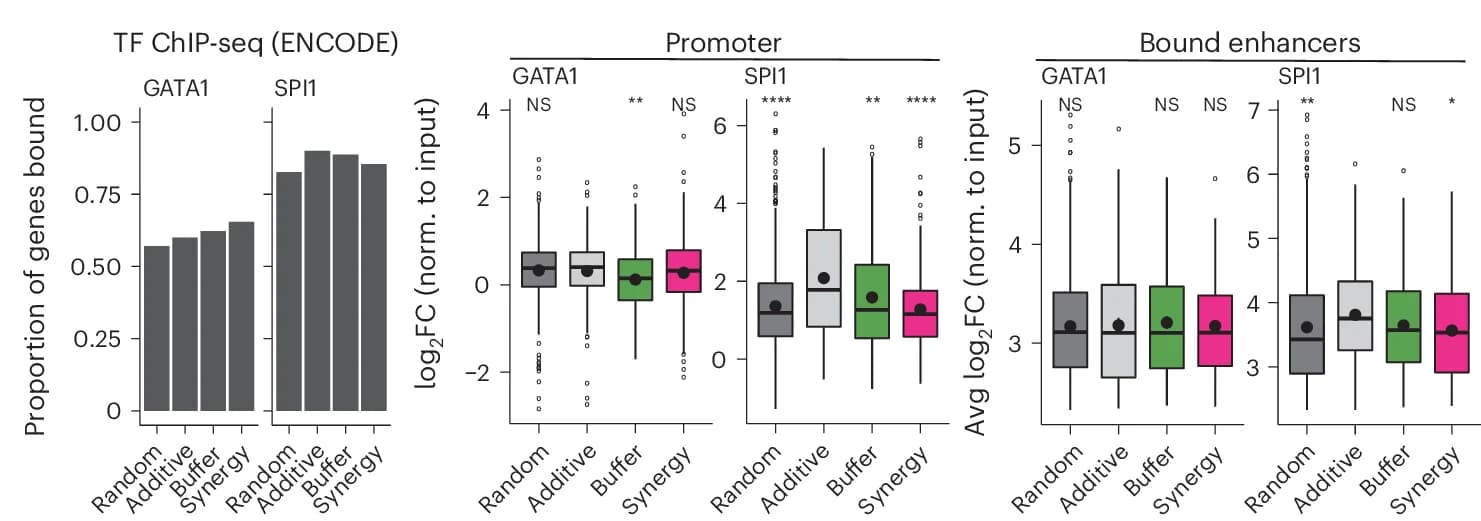 Open access visualization of Bar Plot, Box Plot, TF Occupancy, Synergy, Buffer