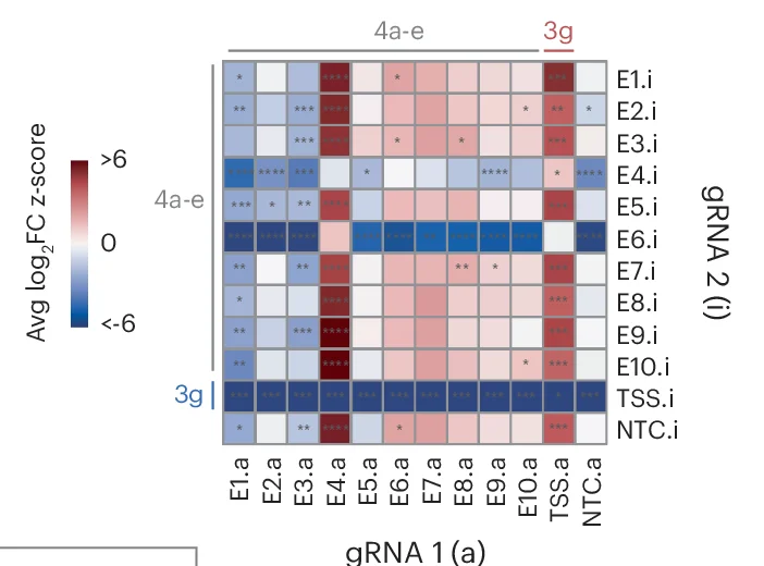 Open access visualization of Heatmap, Log 2 FC z-score, IL2, gRNA Pairs, Enhancer