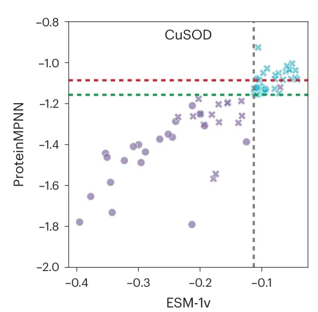 Open access visualization of Scatter Plot, CuSOD, ESM-1v Scores, ProteinMPNN Scores, Sequences