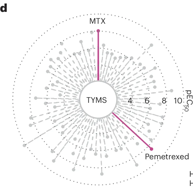 Open access visualization of Radar Chart, Radar Plot, Proteins, Drugs, Tanespimycin