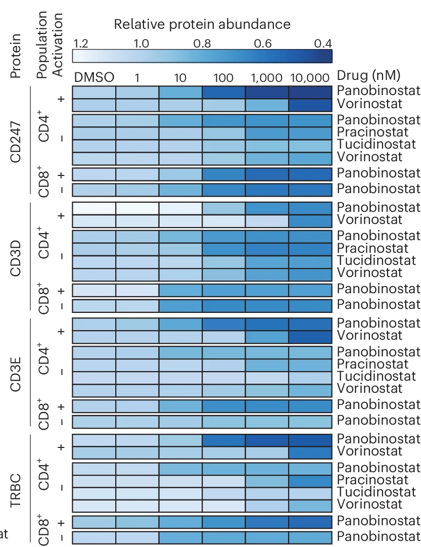 Open access visualization of Heatmap, Human Primary T Cells, Ex Vivo, HDAC Inhibitors, Protein Expression