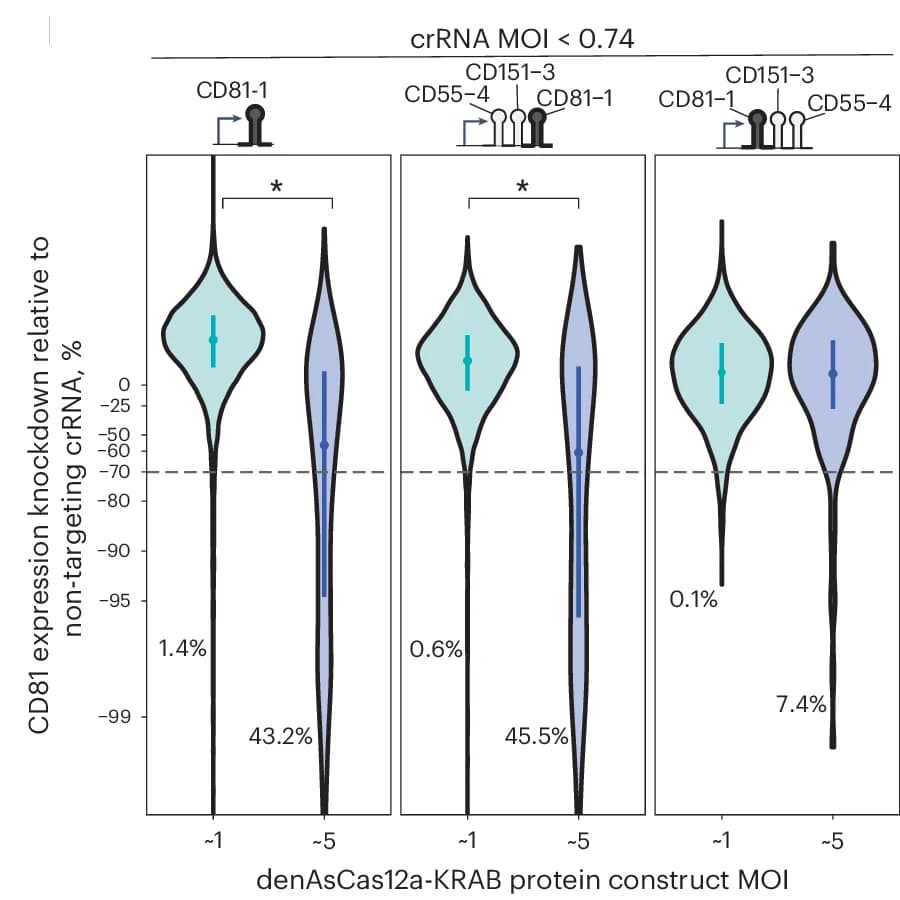 Open access visualization of Violin Plot, Error Bars, CD81 Knockdown, Lentiviral Transduction, denAsCas12a-KRAB Protein