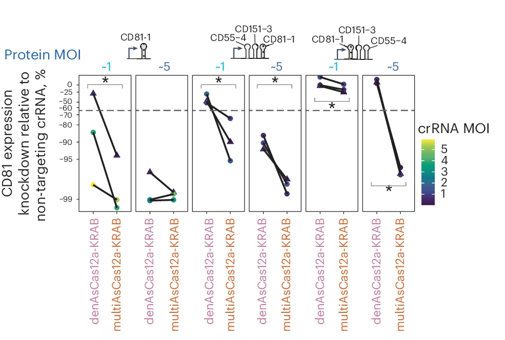 Open access visualization of Line Plot, CD81 Knockdown, denAsCas12a-KRAB, multiAsCas12a-KRAB, crRNA Constructs
