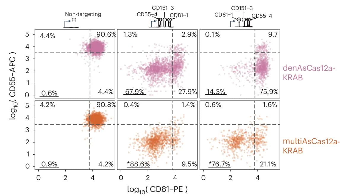 Open access visualization of Scatter Plot, CD55-APC, CD81-PE, Flow Cytometry, crRNA Constructs