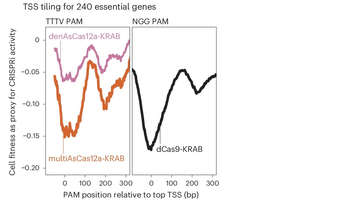 Open access visualization of Line Plot, Cell Fitness Score, TTTV PAM, crRNAs, TSS