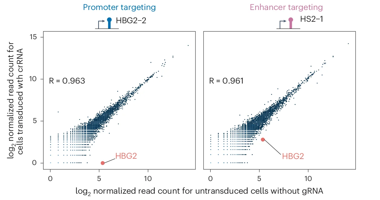 Open access visualization of Scatter Plot, Regression Plot, RNA-Seq Analysis, crRNAs, Transcriptome