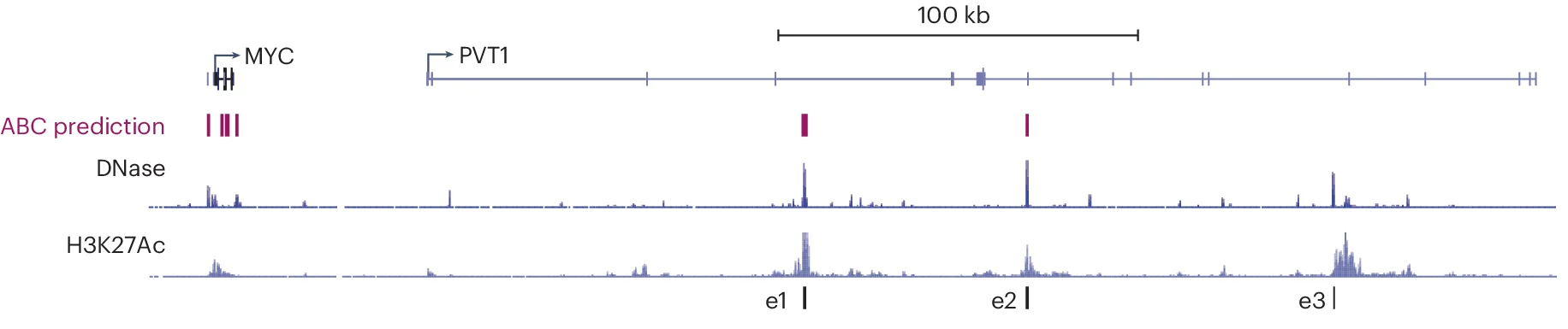 Open access visualization of Line Plot, Bar Plot, Genome Browser View, MYC Locus, Activity-by-Contact Model