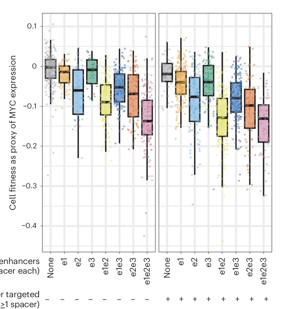 Open access visualization of Box Plot, Scatter Plot, Violin Plot, Library 2 Sublibrary B, Constructs